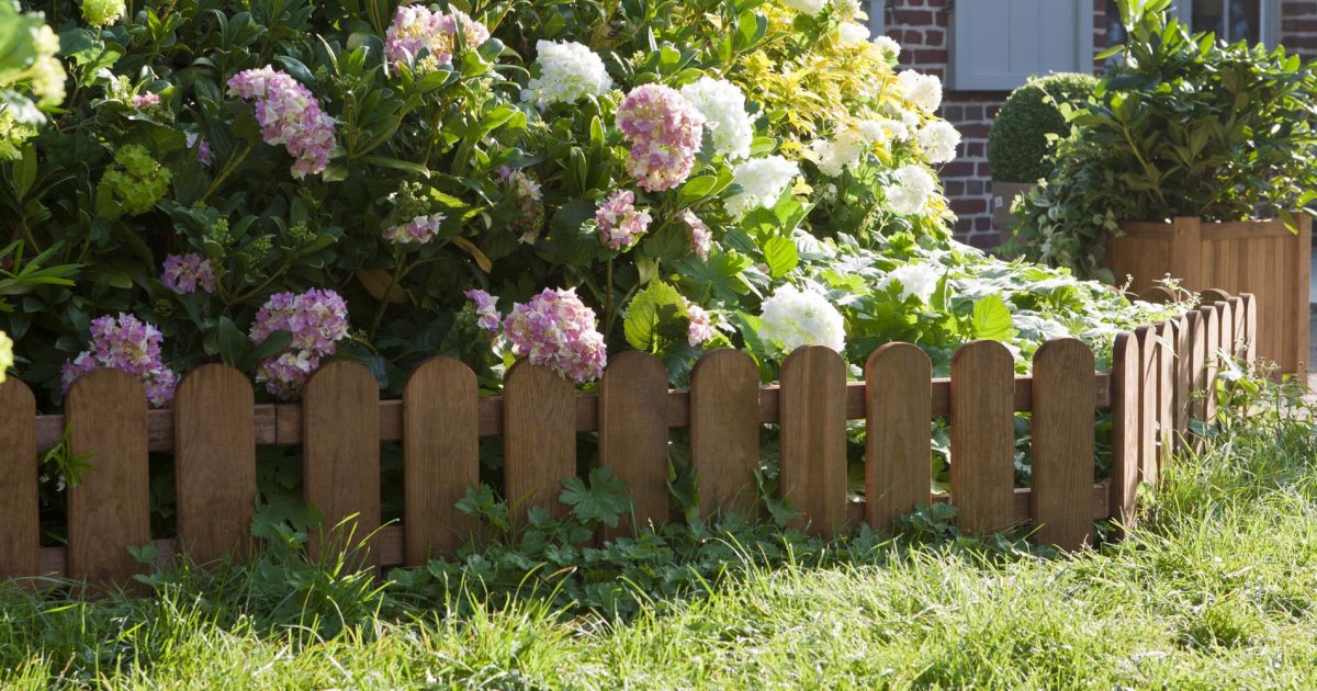 Massif d’hortensias en façade de maison, jardin aménagé par chaury-tp à Toulouse